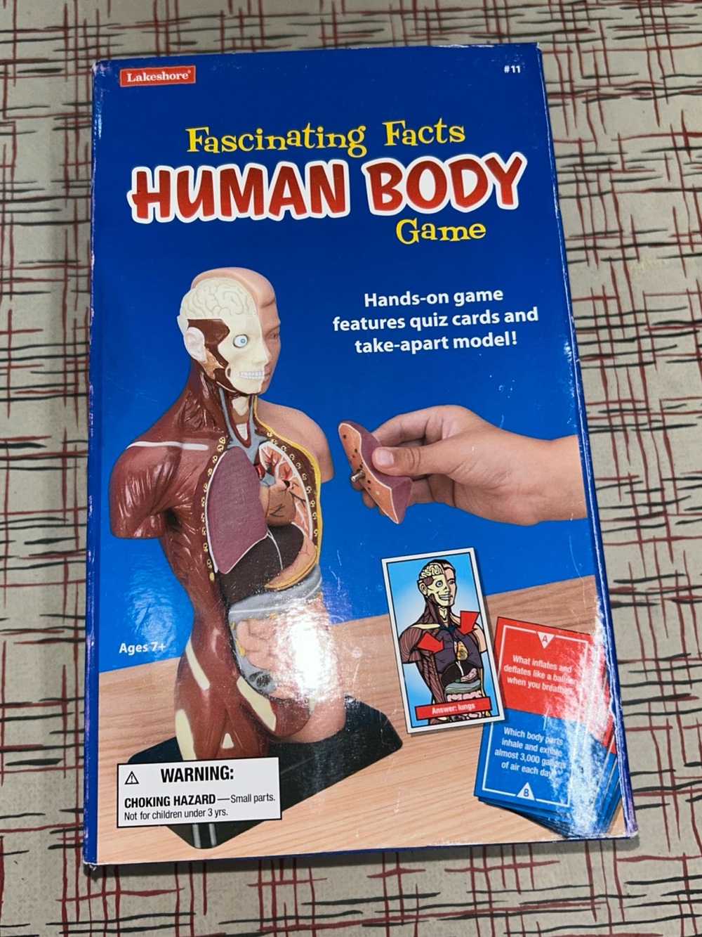 Lakeshore Fascinating Facts Human Body Game Take Apart Model Anatomy *Complete*